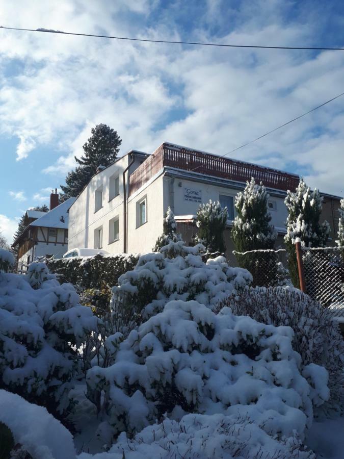Pokoj Kameralny- De Luxe Z Oddzielnym Wejsciem Karpacz Exterior photo