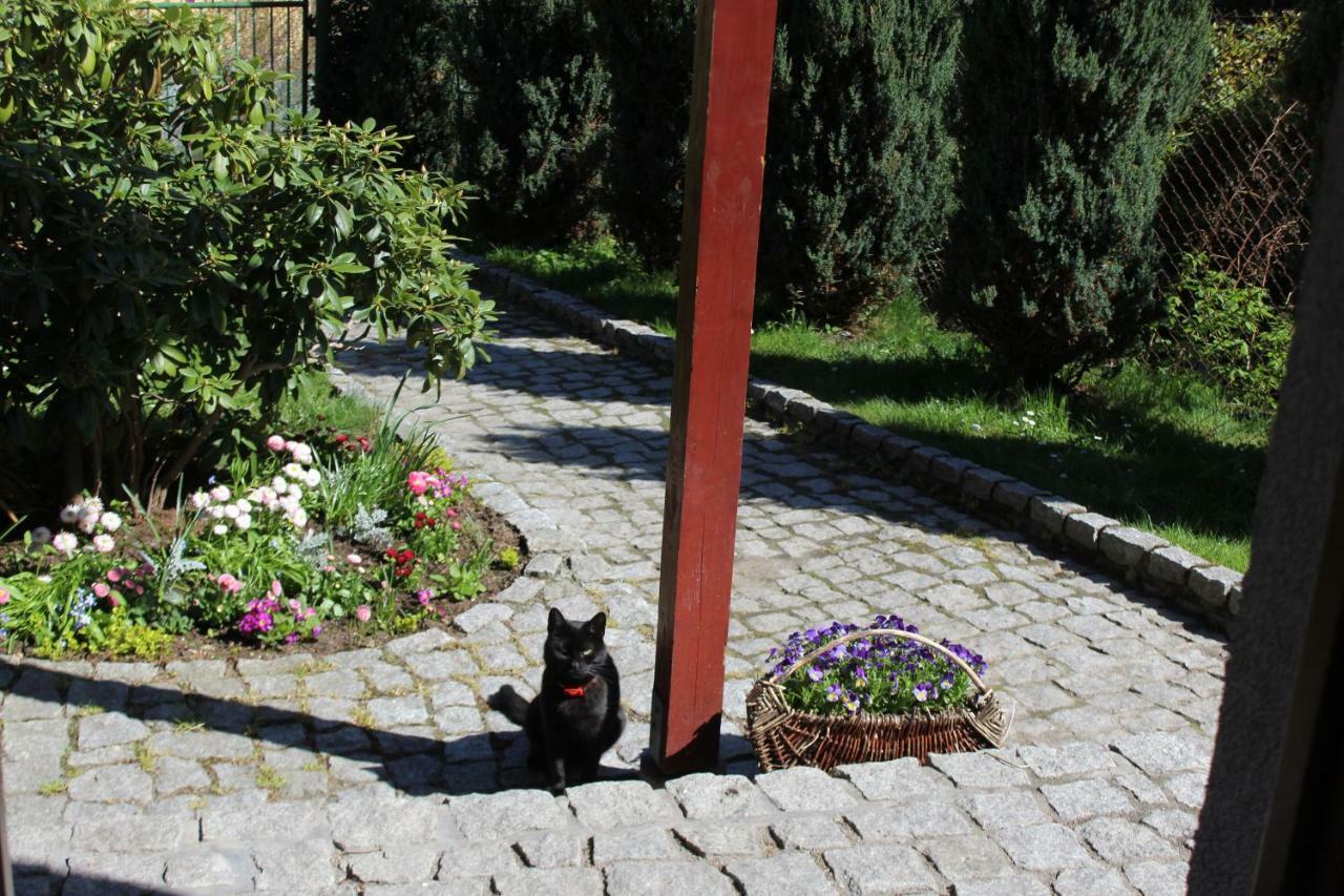 Pokoj Kameralny- De Luxe Z Oddzielnym Wejsciem Karpacz Exterior photo